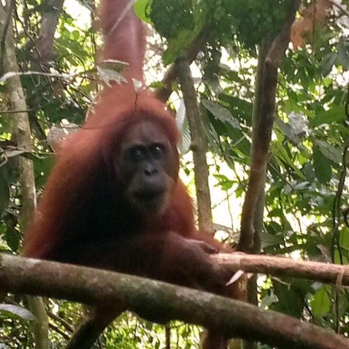 WhatsApp Image 2025-07-27 at 21.59.58 (1)