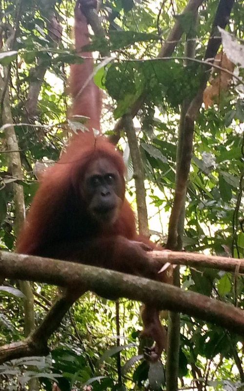 WhatsApp Image 2025-07-27 at 21.59.58 (1)