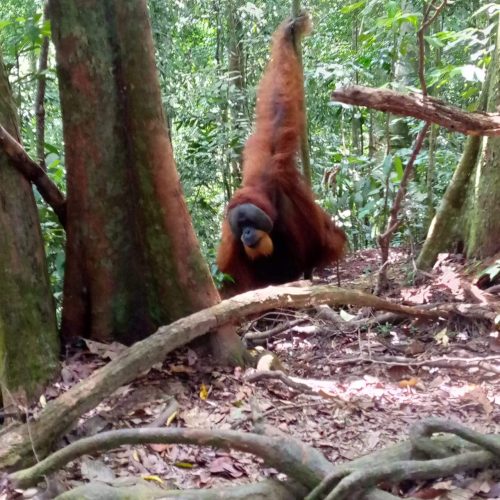 WhatsApp Image 2025-07-27 at 21.59.59 (2)