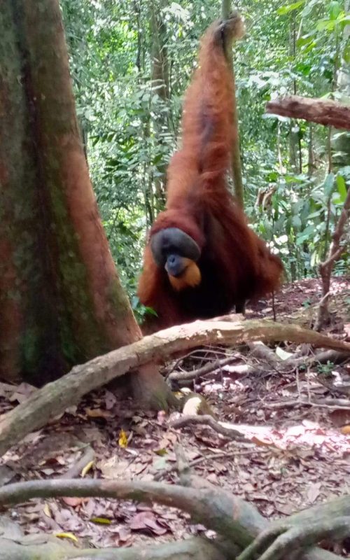 WhatsApp Image 2025-07-27 at 21.59.59 (2)