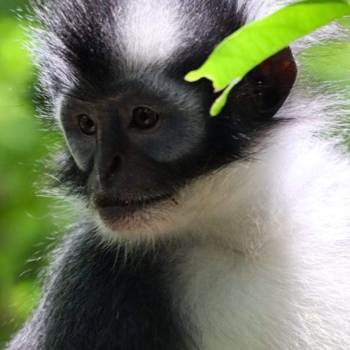 WhatsApp Image 2025-07-27 at 22.00.03 (1)