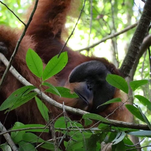 WhatsApp Image 2025-07-27 at 22.00.03