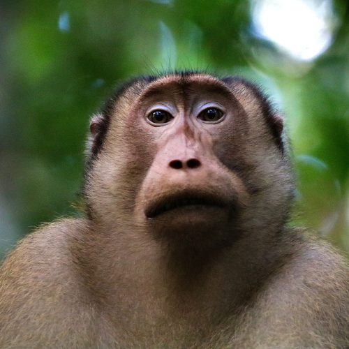 WhatsApp Image 2025-07-27 at 22.00.04 (1)