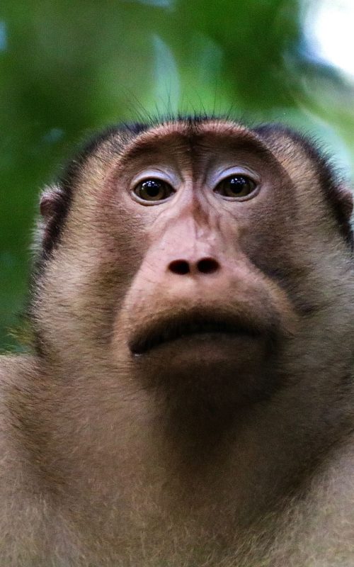 WhatsApp Image 2025-07-27 at 22.00.04 (1)