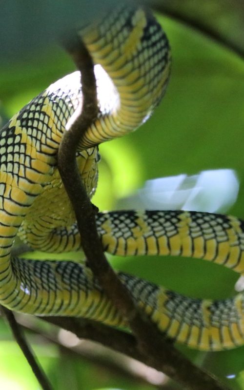 WhatsApp Image 2025-07-27 at 22.00.04 (2)