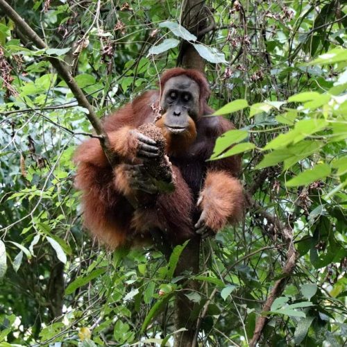 WhatsApp Image 2025-07-27 at 22.00.04