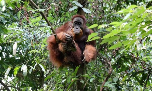 WhatsApp Image 2025-07-27 at 22.00.04