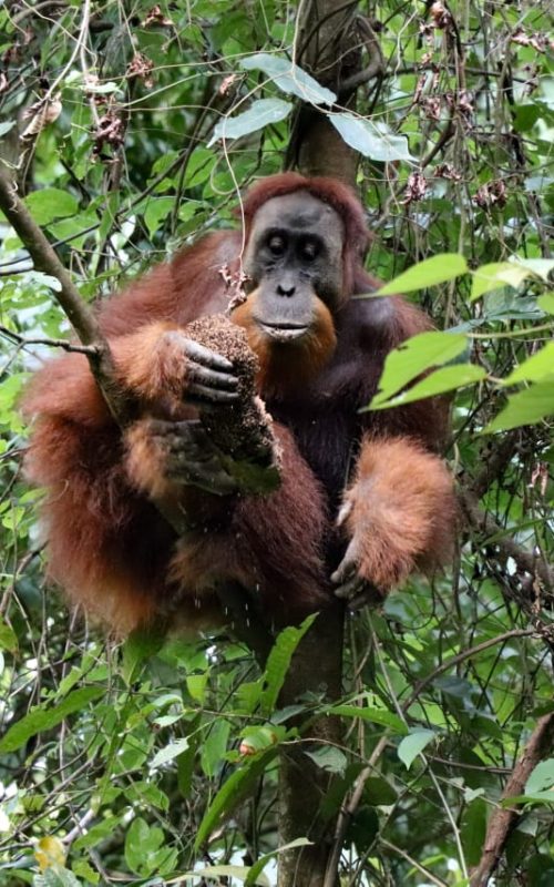 WhatsApp Image 2025-07-27 at 22.00.04