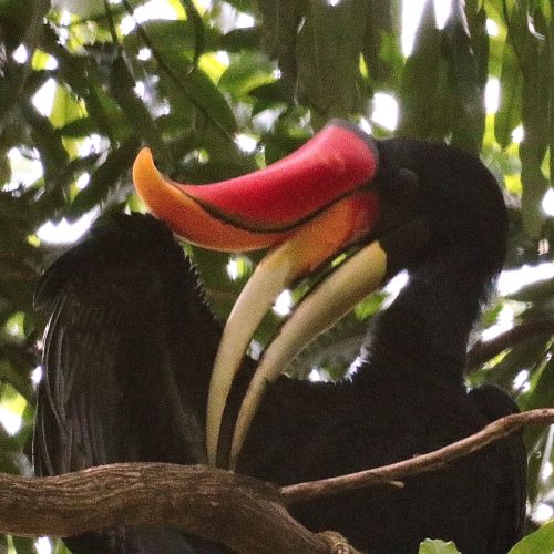 WhatsApp Image 2025-07-27 at 22.00.05 (1)