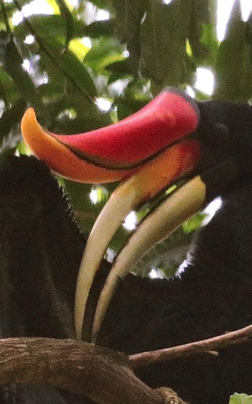 WhatsApp Image 2025-07-27 at 22.00.05 (1)