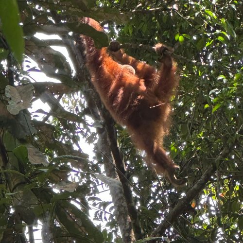 WhatsApp Image 2025-07-27 at 22.00.05 (2)