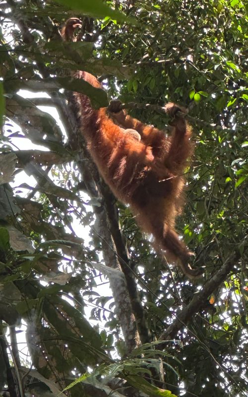 WhatsApp Image 2025-07-27 at 22.00.05 (2)