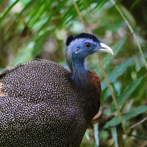 WhatsApp Image 2025-07-27 at 22.00.05