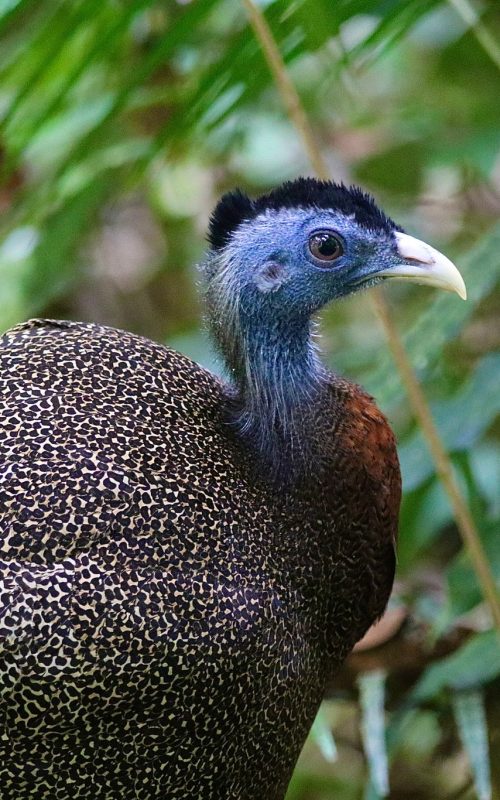 WhatsApp Image 2025-07-27 at 22.00.05