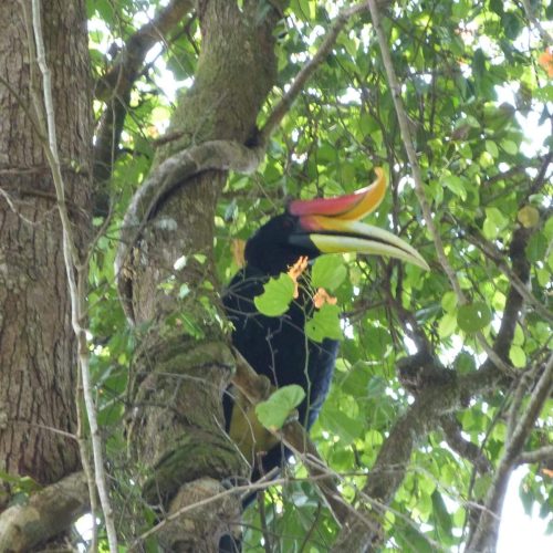 WhatsApp Image 2025-07-30 at 23.01.20 (2)