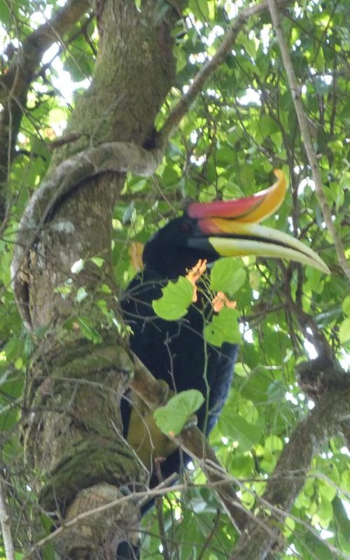 WhatsApp Image 2025-07-30 at 23.01.20 (2)