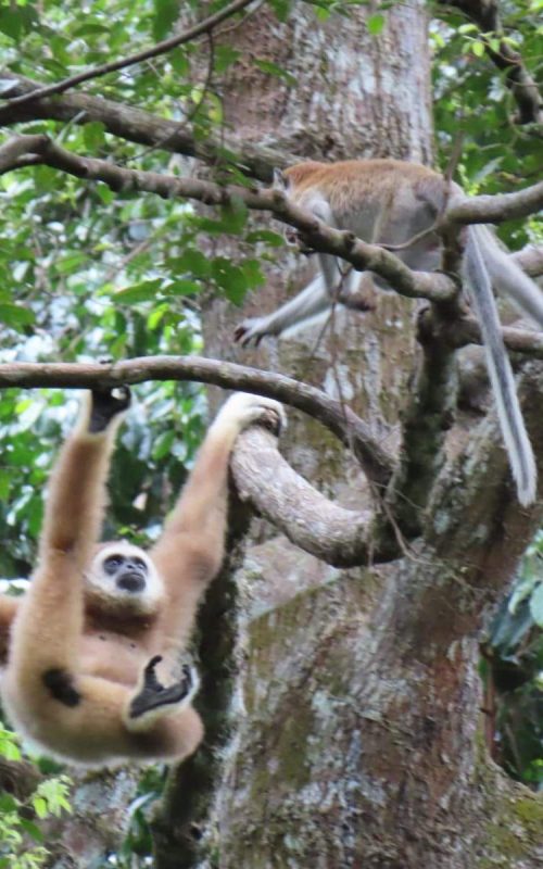 WhatsApp Image 2025-07-30 at 23.01.20