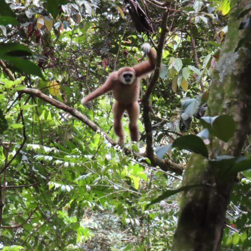 WhatsApp Image 2025-07-30 at 23.01.21 (2)