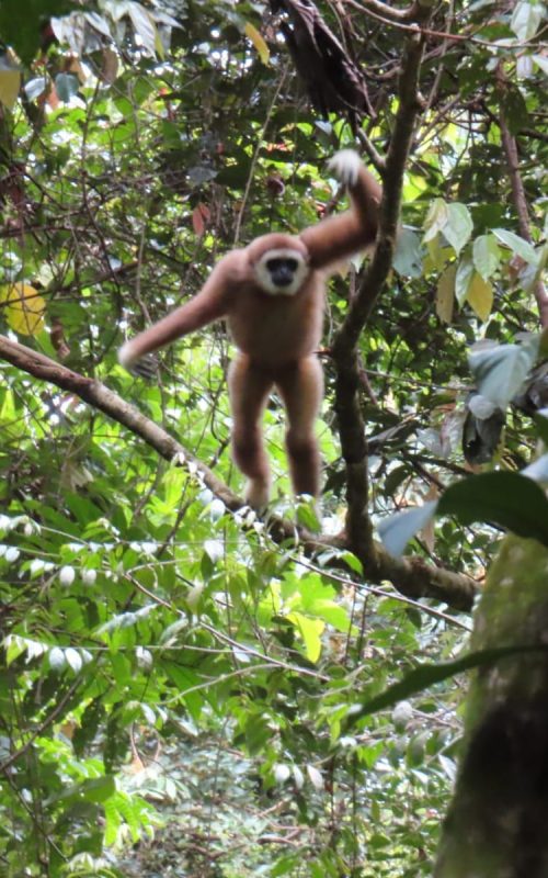 WhatsApp Image 2025-07-30 at 23.01.21 (2)