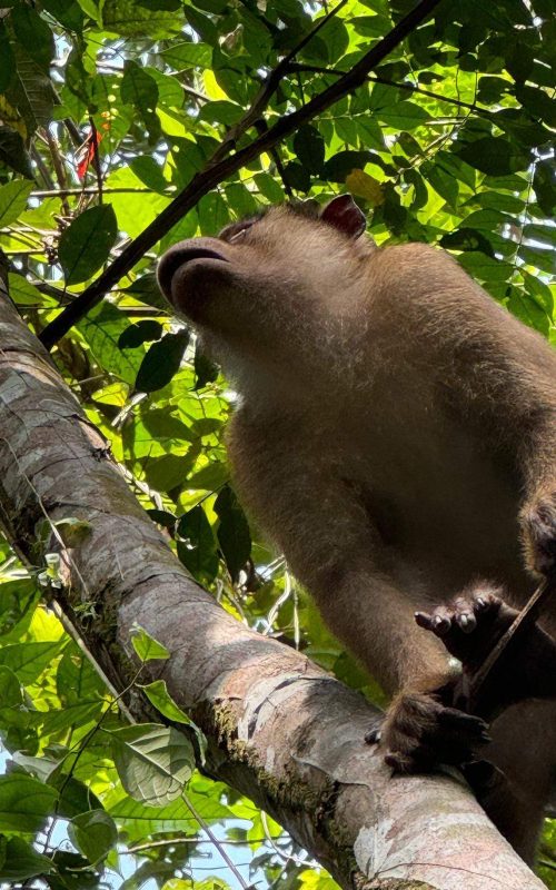 WhatsApp Image 2025-07-30 at 23.01.21