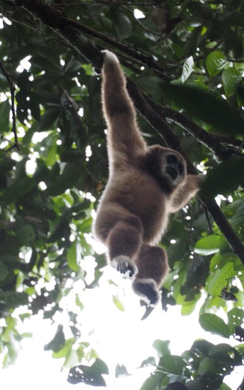 WhatsApp Image 2025-07-30 at 23.01.22