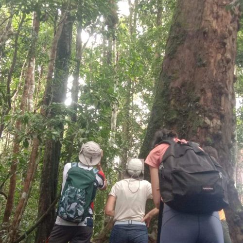 WhatsApp Image 2025-07-30 at 23.01.25 (1)