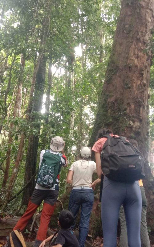 WhatsApp Image 2025-07-30 at 23.01.25 (1)