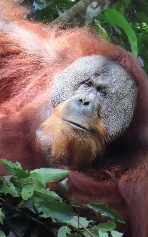 WhatsApp Image 2025-07-30 at 23.01.25 (2)