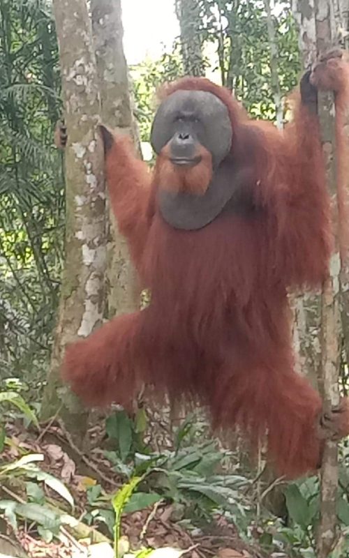 WhatsApp Image 2025-07-30 at 23.02.32