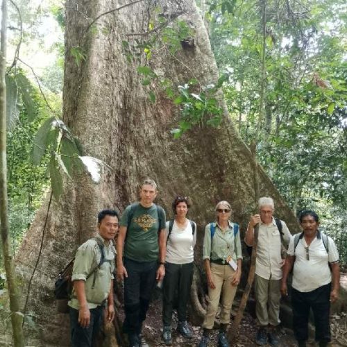 WhatsApp Image 2025-11-23 at 05.11.43