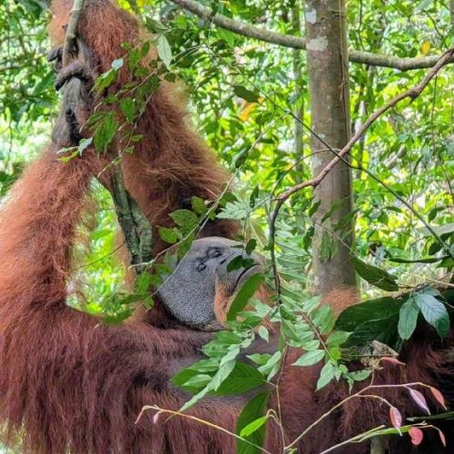 WhatsApp Image 2025-11-23 at 05.11.44 (1)