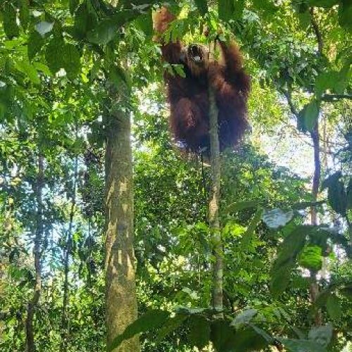 WhatsApp Image 2025-11-23 at 05.11.44