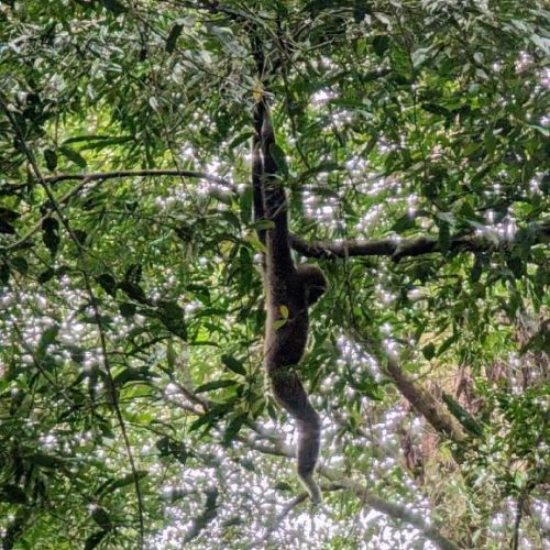 WhatsApp Image 2025-11-23 at 05.11.45 (1)