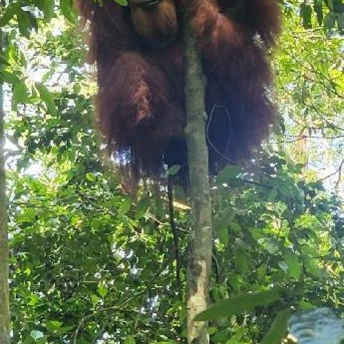 WhatsApp Image 2025-11-23 at 05.11.45