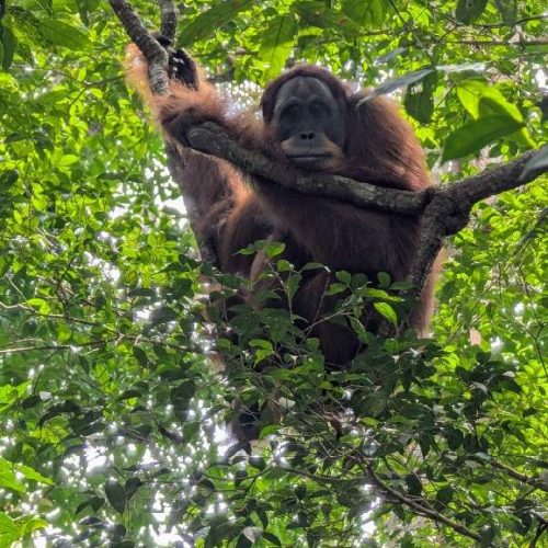 WhatsApp Image 2025-11-23 at 05.11.46