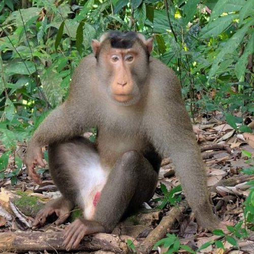 WhatsApp Image 2025-11-23 at 05.11.47