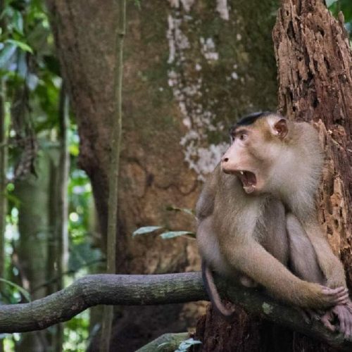 WhatsApp Image 2025-11-23 at 05.11.48 (1)