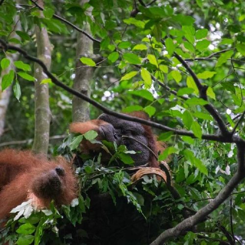 WhatsApp Image 2025-11-23 at 05.11.48 (2)