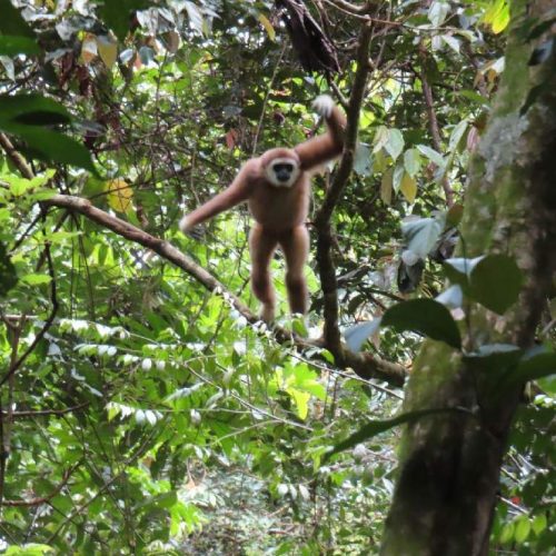 WhatsApp Image 2025-11-23 at 05.11.49 (1)