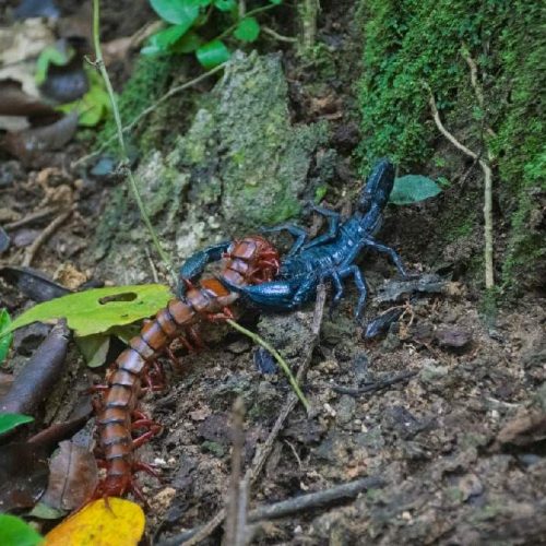 WhatsApp Image 2025-11-23 at 05.11.49