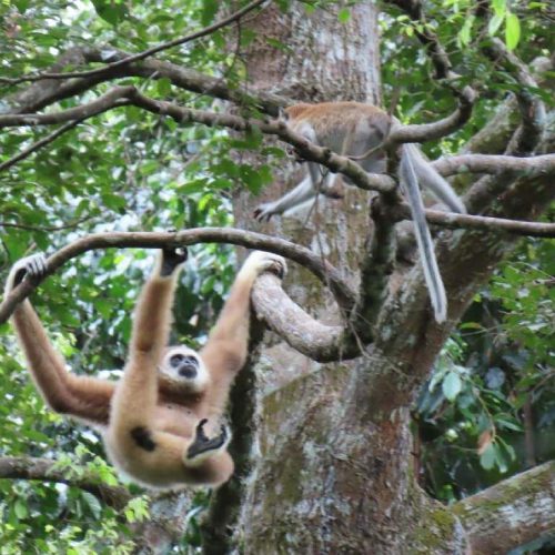 WhatsApp Image 2025-11-23 at 05.11.52 (1)