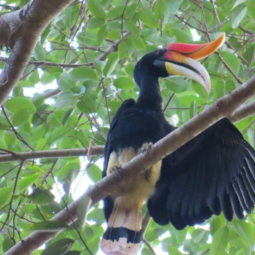 WhatsApp Image 2025-11-23 at 05.11.52