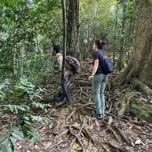 WhatsApp Image 2025-11-23 at 05.11.53