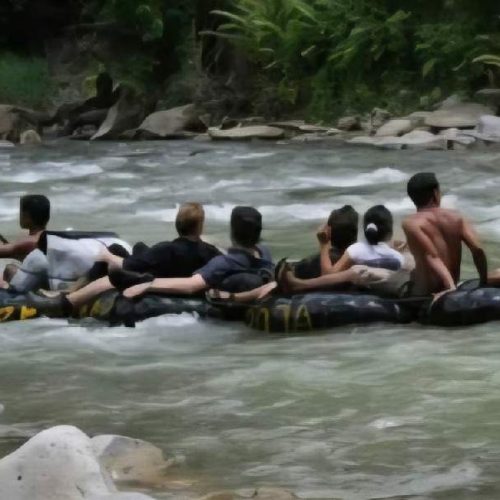 WhatsApp Image 2025-11-23 at 05.11.54