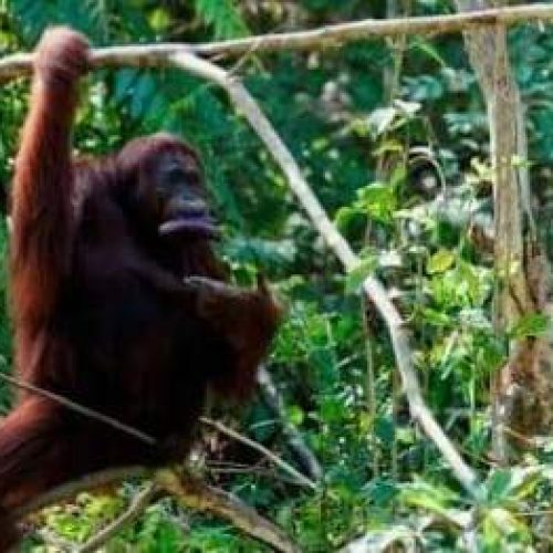 WhatsApp Image 2025-11-23 at 05.11.56 (1)