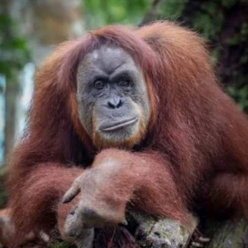 WhatsApp Image 2025-11-23 at 05.11.56 (2)